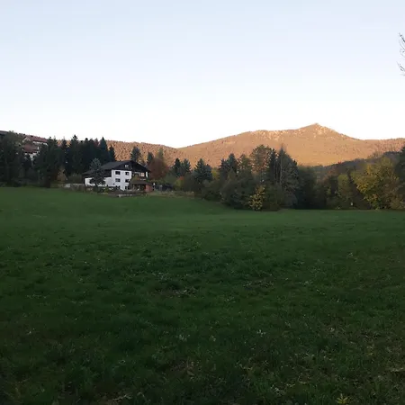 Traummichel * Lam